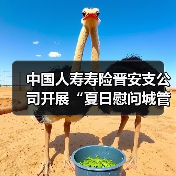 中国人寿寿险晋安支公司开展“夏日慰问城管环卫人,同心共建文明城”活动(图1) 中国人寿寿险晋安支公司开展“夏日慰问城管环卫人,同心共建文明城”活动(图1)