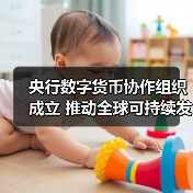 央行数字货币协作组织成立 推动全球可持续发展新计划(图3)