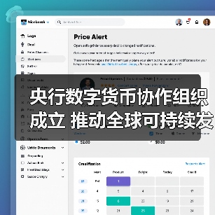 央行数字货币协作组织成立 推动全球可持续发展新计划(图4)