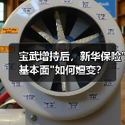 宝武增持后，新华保险基本面如何嬗变？(图4)