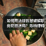 如何用法律智慧破解职务犯罪迷局？陈楠律师办案启示(图4)