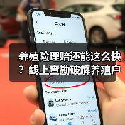 养殖险理赔还能这么快？线上查勘破解养殖户难题(图4)