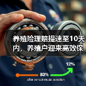 养殖险理赔提速至10天内，养殖户迎来高效保障(图3)