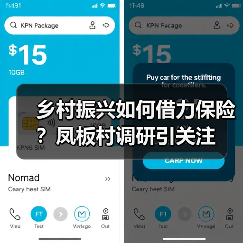 乡村振兴如何借力保险？凤板村调研引关注(图2)