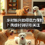 乡村振兴如何借力保险？凤板村调研引关注(图3)