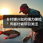 乡村振兴如何借力保险？凤板村调研引关注(图4)