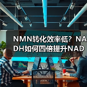 NMN转化效率低？NADH如何四倍提升NAD+优势(图1)