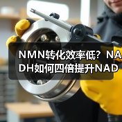NMN转化效率低？NADH如何四倍提升NAD+优势(图4)