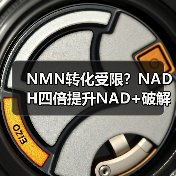 NMN转化受限？NADH四倍提升NAD+破解稳定性难题(图2)
