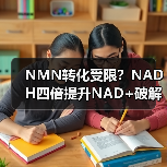 NMN转化受限？NADH四倍提升NAD+破解稳定性难题(图3)
