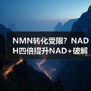 NMN转化受限？NADH四倍提升NAD+破解稳定性难题(图4)