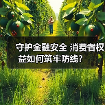 守护金融安全 消费者权益如何筑牢防线？(图4)