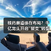 核药赛道谁在布局？千亿龙头开启聚变转型(图4)