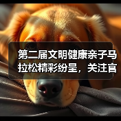 关注大兴政务号，参与亲子马拉松畅享城市活力-云溯流欧品启易商贸资讯(图4)