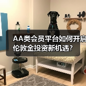 AA类会员平台如何开启伦敦金投资新机遇？(图2)