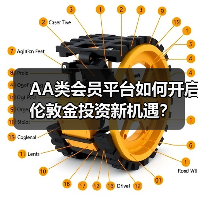 AA类会员平台如何开启伦敦金投资新机遇？(图4)