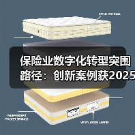 保险业数字化转型突围路径：创新案例获2025行业认可(图1)