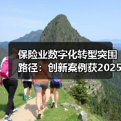 保险业数字化转型突围路径：创新案例获2025行业认可(图3)