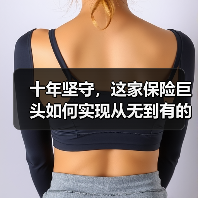 十年坚守，这家保险巨头如何实现从无到有的跨越？(图1)