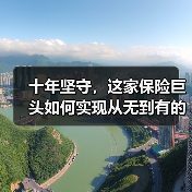 十年坚守，这家保险巨头如何实现从无到有的跨越？(图2)