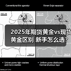 2025年期货黄金vs现货黄金区别 新手怎么选？平台选择指南(图2)