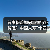 中国人寿十四五转型：普惠金融与养老生态的双重突破-云溯流欧品启易商贸资讯(图1)