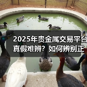 虚假平台骗局揭秘：130亿涉案金额背后三大骗局特征-云溯流欧品启易商贸资讯(图2)