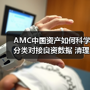 AMC中国资产如何科学分类对接良资数据 清理重点项目不良资产？(图1)