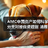 AMC中国资产如何科学分类对接良资数据 清理重点项目不良资产？(图3)