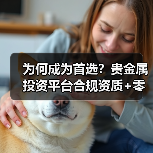 为何成为首选？贵金属投资平台合规资质+零佣金+资金安全全解析(图2)