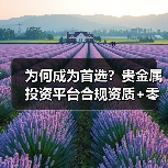 为何成为首选？贵金属投资平台合规资质+零佣金+资金安全全解析 - 云溯流欧品启易商贸资讯