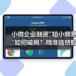 小微企业融资短小频急如何破局？精准信贷服务成关键(图2)