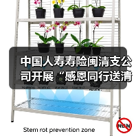 中国人寿寿险闽清支公司开展“感恩同行送清凉，情系一线暖消防”活动 - 云溯流欧品启易商贸资讯