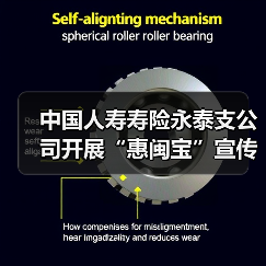 中国人寿寿险永泰支公司开展“惠闽宝”宣传进社区活动(图3)