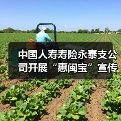 中国人寿寿险永泰支公司开展“惠闽宝”宣传进社区活动(图4)
