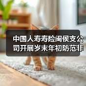 中国人寿寿险闽侯支公司开展岁末年初防范非法金融活动宣传活动(图3)