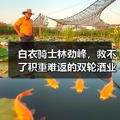 白衣骑士林劲峰，救不了积重难返的双轮酒业(图3)