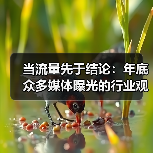当流量先于结论：年底众多媒体曝光的行业观察(图3)