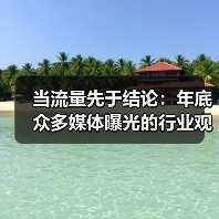 当流量先于结论：年底众多媒体曝光的行业观察(图4)