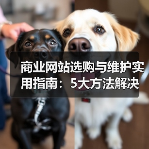 商业网站选购与维护实用指南：5大方法解决常见问题(图2)
